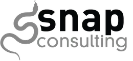 Snap Consulting